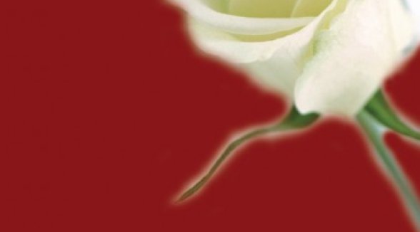 Bijušais senators Vilnis Vietnieks izdod otru dzejas grāmatu