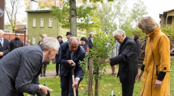 Kuldīgā kuplos ozols Latvijas Senāta pirmā priekšsēdētāja Kristapa Valtera piemiņai